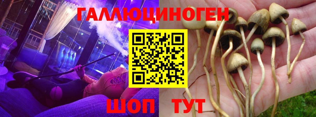 Галлюциногенные грибы GOLDEN TEACHER Каменск-Уральский